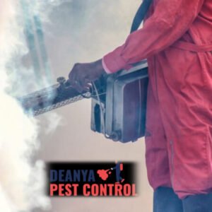 How Long After Fumigation Is It Safe For Humans?