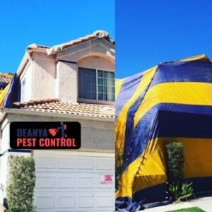 How To Fumigate A House