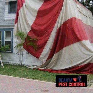 What Does Fumigation Mean?