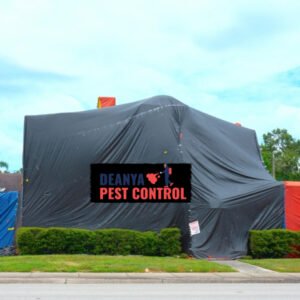 What Does Fumigation Mean?