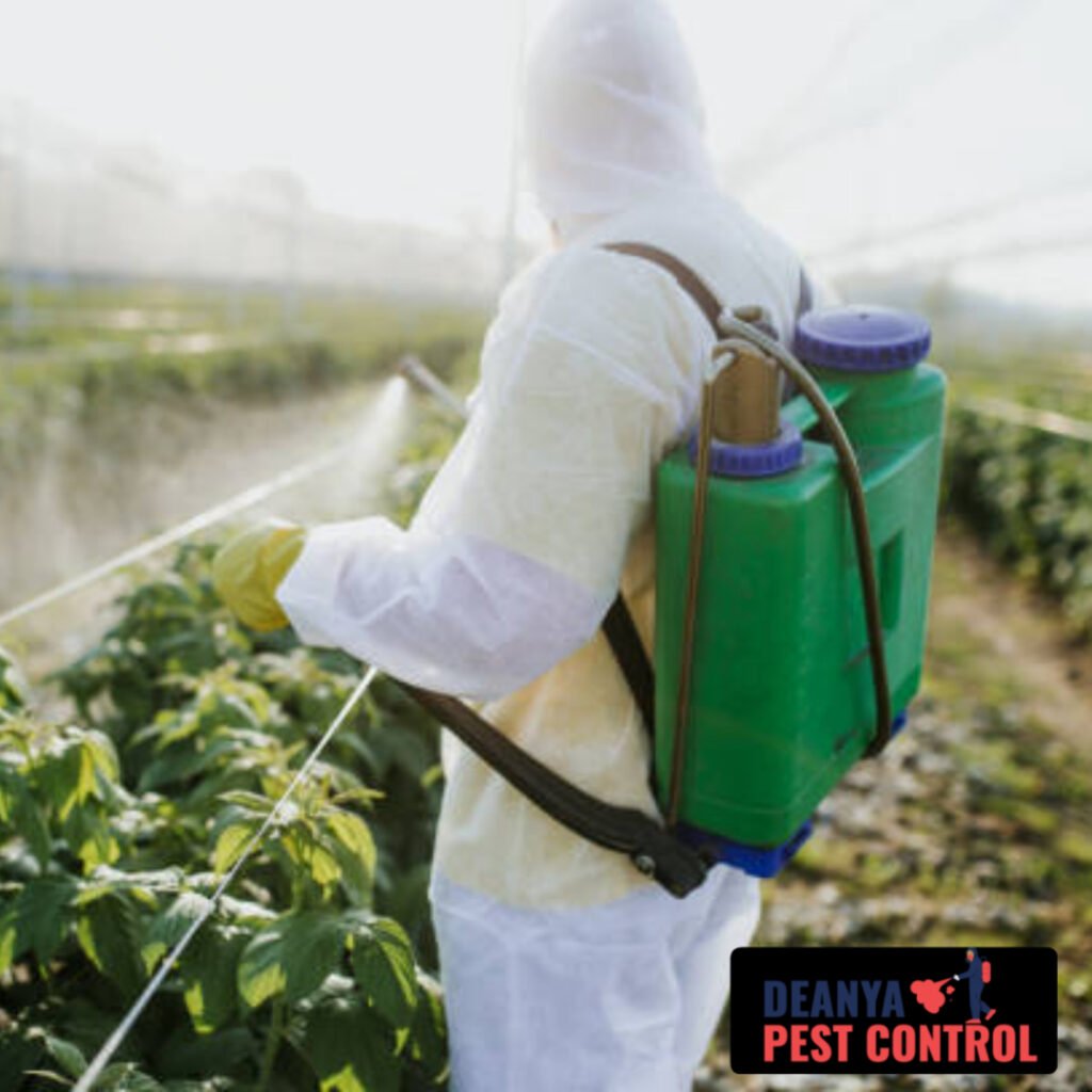 Are Organic Pest Control Sprays Effective?