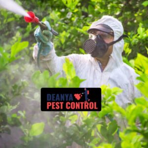 Can I Request All Organic Pest Control Solutions from My Local Exterminator?