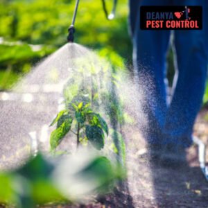 Types of Organic Pest Control Services