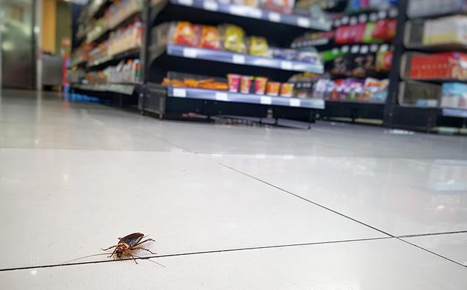 supermarket pest control chicago
