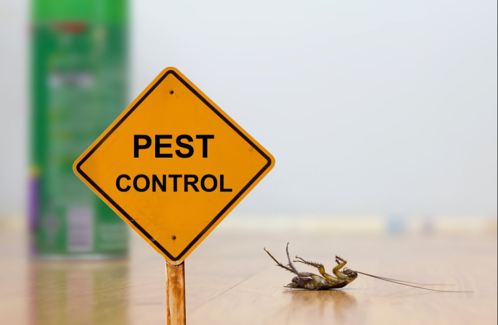 routine pest control services near me